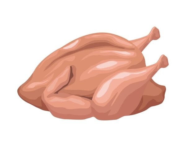 Fresh Chicken (Murghi)